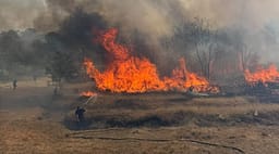 Hereqi i Gjakovës përfshihet nga zjarret, një zjarrfikës lëndohet gjatë intervenimit Hereqi i Gjakovës përfshihet nga zjarret, një zjarrfikës lëndohet gjatë intervenimit