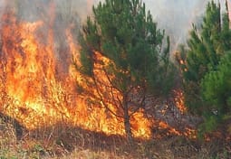 QMK: Regjistrohen 13 zjarre, pesë prej tyre janë ende aktive QMK: Regjistrohen 13 zjarre, pesë prej tyre janë ende aktive