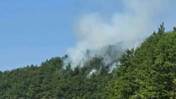 Policia demanton mediat serbe: Asnjë armë nga Kosova s’është përdorur për zjarrin në territorin e Serbisë Policia demanton mediat serbe: Asnjë armë nga Kosova s’është përdorur për zjarrin në territorin e Serbisë