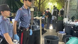 Zbulohet një rafineri kokaine e fshehur mes bimësisë në Itali, mes të arrestuarve edhe një shqiptar Zbulohet një rafineri kokaine e fshehur mes bimësisë në Itali, mes të arrestuarve edhe një shqiptar