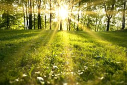 Mot me diell gjatë javës, temperatura më e lartë 29 gradë Mot me diell gjatë javës, temperatura më e lartë 29 gradë
