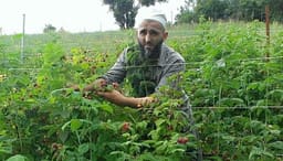 I vrari në Dragash dyshohet se ishte imam – detaje të reja nga therja me thikë në Zlipotok I vrari në Dragash dyshohet se ishte imam – detaje të reja nga therja me thikë në Zlipotok