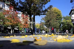 Mot me diell e vranësira, priten reshje të dobëta në disa zona Mot me diell e vranësira, priten reshje të dobëta në disa zona