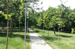 Sulmohet seksualisht një burrë në Prishtinë, viktima rrëfen si ka ndodhur rasti në “Parkun e Arbërisë” – bën apel për kujdes Sulmohet seksualisht një burrë në Prishtinë, viktima rrëfen si ka ndodhur rasti në “Parkun e Arbërisë” – bën apel për kujdes