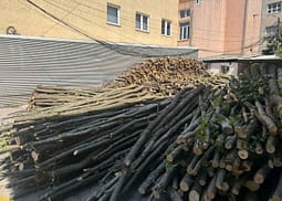 Gjashtë traktorë me dru pa dokumentacion konfiskohen në Ferizaj Gjashtë traktorë me dru pa dokumentacion konfiskohen në Ferizaj