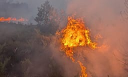 Zjarret në Shqipëri, pesë vatra ende mbesin aktive Zjarret në Shqipëri, pesë vatra ende mbesin aktive