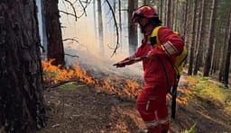 Shtatë vatra zjarri aktive në Shqipëri Shtatë vatra zjarri aktive në Shqipëri