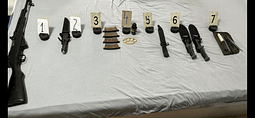 Arrestohet një person në Junik, Policia sekuestron pushkë gjysmëautomatike dhe 40 fishekë Arrestohet një person në Junik, Policia sekuestron pushkë gjysmëautomatike dhe 40 fishekë