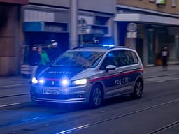 Plagoset me thikë një kosovar në Vjenë, dërgohet në spital për shërim Plagoset me thikë një kosovar në Vjenë, dërgohet në spital për shërim