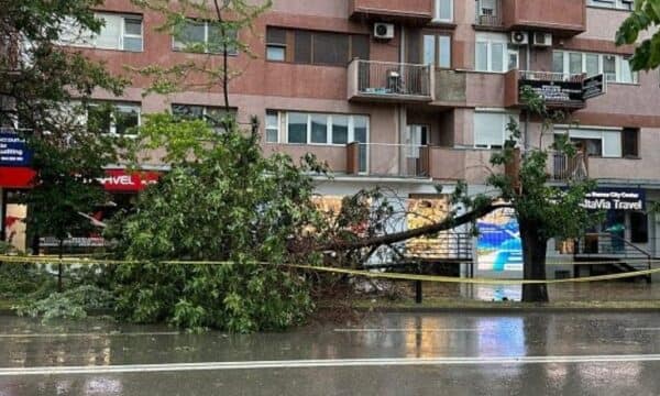 Erëra të forta në Prishtinë, Fushtica: S’ka arsye për panik, ekipet emergjente janë në gatishmëri Erëra të forta në Prishtinë, Fushtica: S’ka arsye për panik, ekipet emergjente janë në gatishmëri