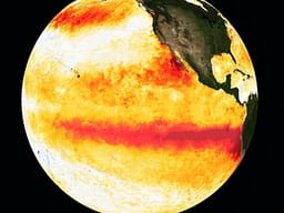 Shkencëtarët për fenomenin “Godzilla” El Niño: Do të shkaktojë 450 000 vdekje brenda gjashtë muajve Shkencëtarët për fenomenin “Godzilla” El Niño: Do të shkaktojë 450 000 vdekje brenda gjashtë muajve