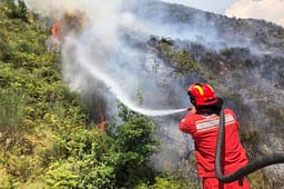 Tetë vatra zjarri mbeten aktive në Shqipëri Tetë vatra zjarri mbeten aktive në Shqipëri