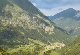 Bjeshkët e Deçanit po zbrazen, lëndinat po mbulohen nga molikat Bjeshkët e Deçanit po zbrazen, lëndinat po mbulohen nga molikat