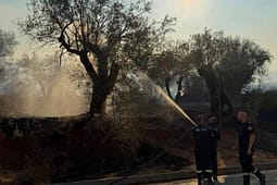 Himara dhe Fieri kaluan një natë të vështirë nga zjarret, Rama: Situata është vënë në kontroll Himara dhe Fieri kaluan një natë të vështirë nga zjarret, Rama: Situata është vënë në kontroll