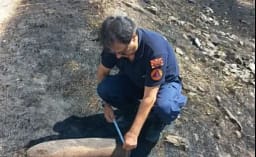 DMSH: Largohen granata të rrezikshme nga luftërat e kaluara në një zonë të përfshirë nga zjarri DMSH: Largohen granata të rrezikshme nga luftërat e kaluara në një zonë të përfshirë nga zjarri