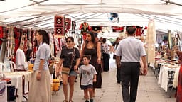 Nga mungesa e granteve te sfidat në treg, gratë sipërmarrëse kërkojnë më shumë mbështetje Nga mungesa e granteve te sfidat në treg, gratë sipërmarrëse kërkojnë më shumë mbështetje