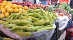 Bullgaria kthen 11.6 tonë speca të Maqedonisë, ishin me pesticid mbi nivelin e lejuar Bullgaria kthen 11.6 tonë speca të Maqedonisë, ishin me pesticid mbi nivelin e lejuar