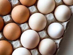 Shpërthim i madh i salmonelës në Evropë: Më shumë se 500 të infektuar, një person i vdekur Shpërthim i madh i salmonelës në Evropë: Më shumë se 500 të infektuar, një person i vdekur