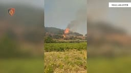 Zjarr masiv në Mallakastër, rrezikohen banesat në fshatin Koilac – evakuohen disa familje Zjarr masiv në Mallakastër, rrezikohen banesat në fshatin Koilac – evakuohen disa familje