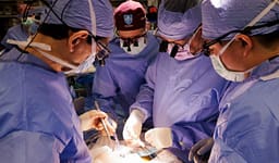 Veshka e transplantuar e derrit funksionoi te njeriu për një rekord prej 271 ditësh Veshka e transplantuar e derrit funksionoi te njeriu për një rekord prej 271 ditësh
