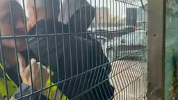 Broja përplaset me tifozin pas humbjes, sulmuesi shqiptar: Kam qenë jashtë për një vit Broja përplaset me tifozin pas humbjes, sulmuesi shqiptar: Kam qenë jashtë për një vit