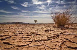 Raporti: Temperaturat globale drejt niveleve rekord në pesë vitet e ardhshme Raporti: Temperaturat globale drejt niveleve rekord në pesë vitet e ardhshme