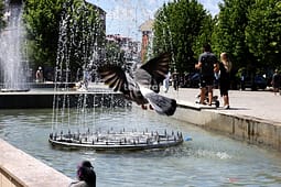 Sot nxehtë, temperaturat deri në 36 gradë Sot nxehtë, temperaturat deri në 36 gradë