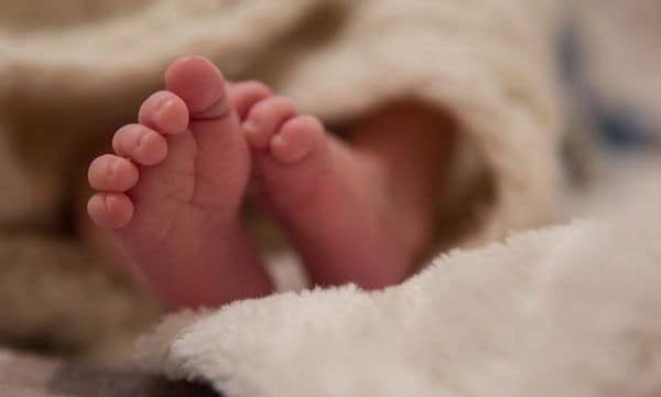 Dërgohet pa shenja jete një foshnje në QKMF në Malishevë, rasti po hetohet Dërgohet pa shenja jete një foshnje në QKMF në Malishevë, rasti po hetohet