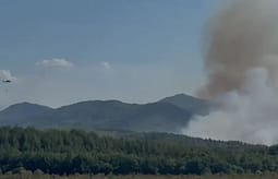 11 vatra zjarri në 24 orë në Shqipëri 11 vatra zjarri në 24 orë në Shqipëri