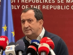 Qoku: Për VLEN-in e rëndësishme është që diaspora të mund të votojë Qoku: Për VLEN-in e rëndësishme është që diaspora të mund të votojë