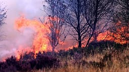 Ushtria britanike i bashkohet përpjekjeve për shuarjen e zjarreve në Uellsin e Jugut Ushtria britanike i bashkohet përpjekjeve për shuarjen e zjarreve në Uellsin e Jugut