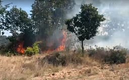 Banorët e Kollës prej katër ditësh përballen me zjarret Banorët e Kollës prej katër ditësh përballen me zjarret