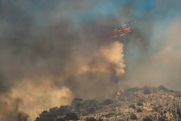 Evropa nën pushtetin e flakëve: Viktima në Greqi e Spanjë, mijëra hektarë të përfshirë nga flakët në Belgjikë Evropa nën pushtetin e flakëve: Viktima në Greqi e Spanjë, mijëra hektarë të përfshirë nga flakët në Belgjikë
