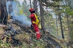 Rrezik për zjarre në disa qarqe të Shqipërisë Rrezik për zjarre në disa qarqe të Shqipërisë