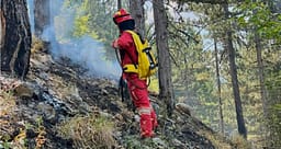 Situata me zjarret në Shqipëri, 20 vatra në 24 orë, 9 ende aktive Situata me zjarret në Shqipëri, 20 vatra në 24 orë, 9 ende aktive