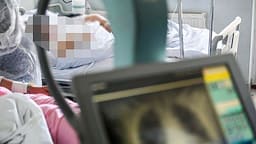 Ethet e Nilit mbërrijnë në Shqipëri, konfirmohet rasti i parë në Korçë Ethet e Nilit mbërrijnë në Shqipëri, konfirmohet rasti i parë në Korçë