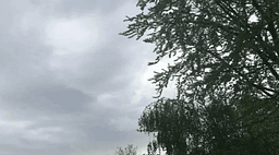 Moti sot në Shqipëri, pasditja sjell reshje të dobëta shiu Moti sot në Shqipëri, pasditja sjell reshje të dobëta shiu