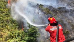 43 vatra zjarri në Shqipëri, 10 mbeten aktive 43 vatra zjarri në Shqipëri, 10 mbeten aktive