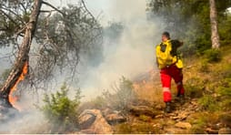 Shqipëri, 34 vatra zjarri – nuk rrezikohen zonat e banuara Shqipëri, 34 vatra zjarri – nuk rrezikohen zonat e banuara