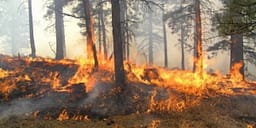 QMK: 37 zjarre në ambiente të hapura në 24 orët e fundit, tre janë aktive QMK: 37 zjarre në ambiente të hapura në 24 orët e fundit, tre janë aktive