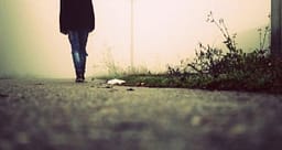 Zhduket një grua në Podujevë, rasti po hetohet Zhduket një grua në Podujevë, rasti po hetohet