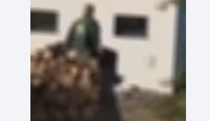 Policia publikon video nga ndërhyrja në “Sharri”, të dyshuarit penguan zyrtarët në detyrë Policia publikon video nga ndërhyrja në “Sharri”, të dyshuarit penguan zyrtarët në detyrë