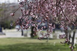 Temperatura deri në 27 gradë, priten edhe reshje lokale shiu Temperatura deri në 27 gradë, priten edhe reshje lokale shiu