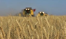 Sekretari i Përgjithshëm i OKB-së: Furnizimi global me ushqime është bërë “dëm kolateral” i konflikteve Sekretari i Përgjithshëm i OKB-së: Furnizimi global me ushqime është bërë “dëm kolateral” i konflikteve