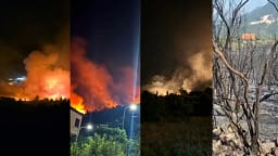 Prokuroria urdhëron lirimin e të moshuarit që ishte i dyshuari për zjarrin në Krujë: Nuk ka asnjë provë, u gjet duke fikur zjarrin Prokuroria urdhëron lirimin e të moshuarit që ishte i dyshuari për zjarrin në Krujë: Nuk ka asnjë provë, u gjet duke fikur zjarrin