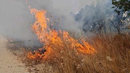 Ndalohet një person nga Manastiri, dyshohet se shkaktoi zjarr Ndalohet një person nga Manastiri, dyshohet se shkaktoi zjarr