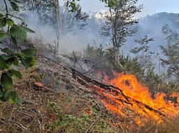 Tetë vatra aktive zjarri, vijojnë përpjekjet për izolimin e flakëve në Shqipëri Tetë vatra aktive zjarri, vijojnë përpjekjet për izolimin e flakëve në Shqipëri