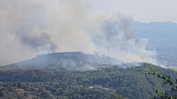 Zjarret dogjën 1.225 hektarë pyje në Shqipëri, Vlora më e dëmtuara Zjarret dogjën 1.225 hektarë pyje në Shqipëri, Vlora më e dëmtuara
