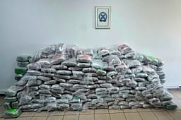 Arrestohet një shtetas i Kosovës në Greqi, sekuestrohen 324 kilogramë kanabis Arrestohet një shtetas i Kosovës në Greqi, sekuestrohen 324 kilogramë kanabis