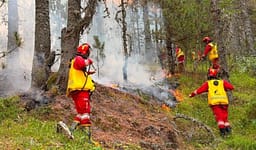 Situata e zjarreve në Shqipëri, 10 vatra mbeten aktive Situata e zjarreve në Shqipëri, 10 vatra mbeten aktive